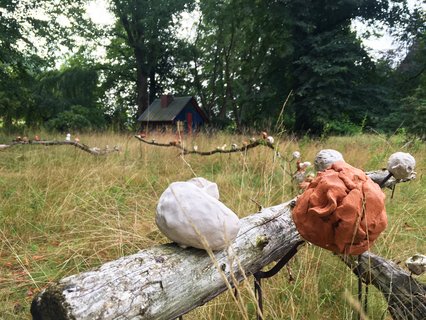 Mitmachaktion "Kreative Köpfe"