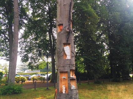 Kunst in gefällter Rotbuche (von verschiedenen Künstlern aus dem Kunsthaus Kannen)